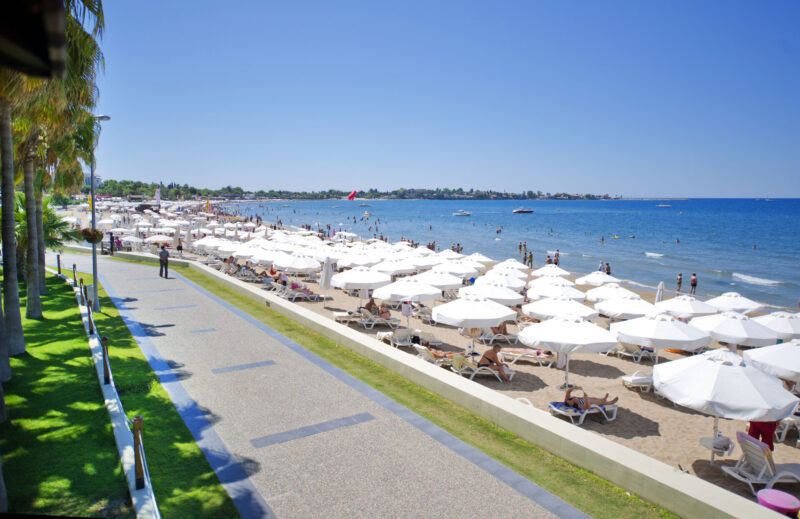 Acanthus Cennet Barut Collection