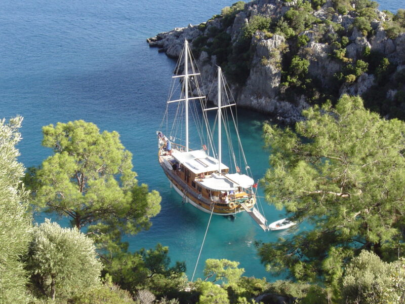 Blue Cruise & Grand Viking